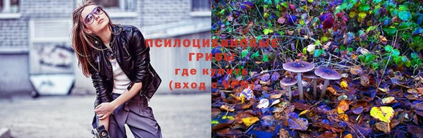 apvp Заводоуковск