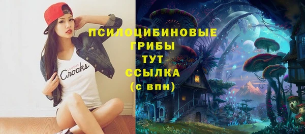 мяу мяу мука Заволжск