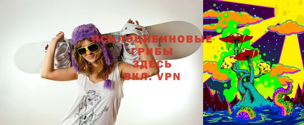 apvp Заводоуковск